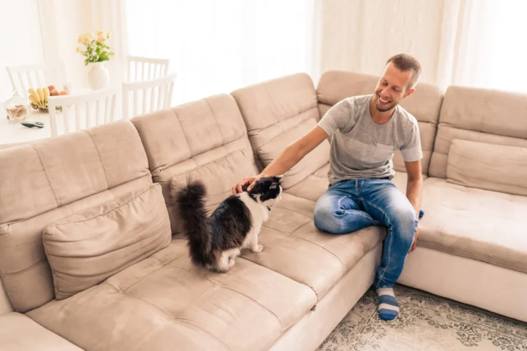 Lifestyle at home